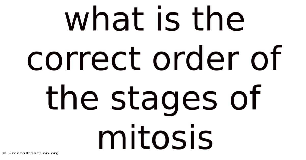 What Is The Correct Order Of The Stages Of Mitosis
