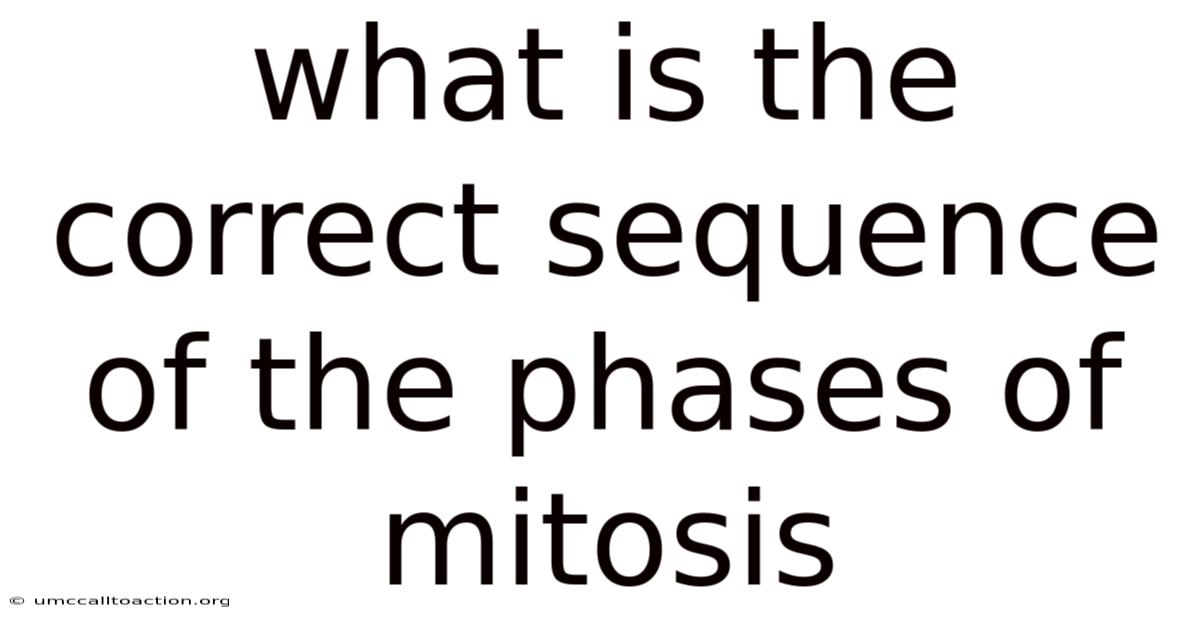 What Is The Correct Sequence Of The Phases Of Mitosis