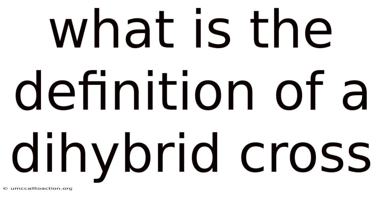 What Is The Definition Of A Dihybrid Cross