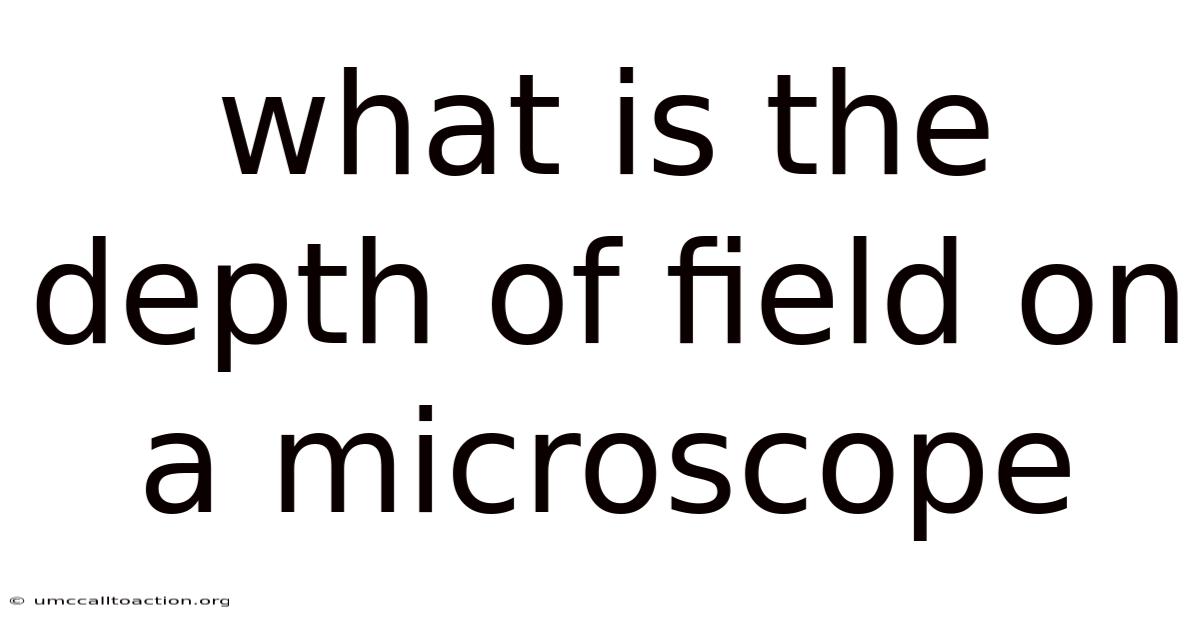 What Is The Depth Of Field On A Microscope
