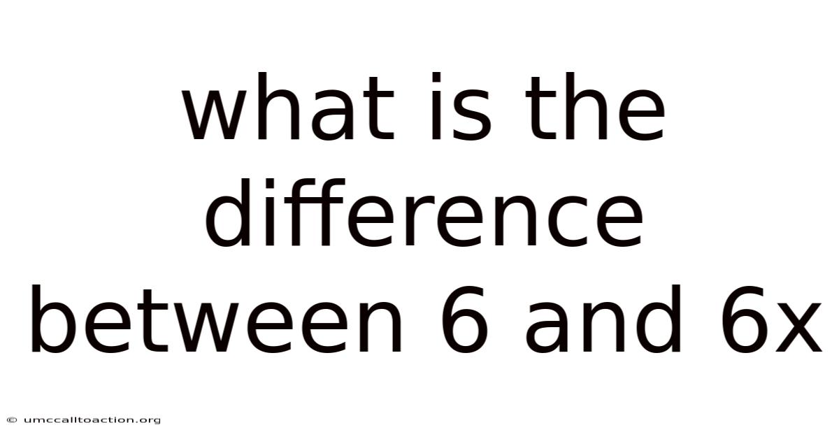 What Is The Difference Between 6 And 6x