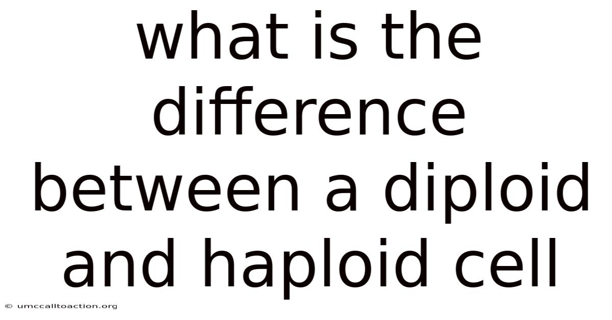 What Is The Difference Between A Diploid And Haploid Cell