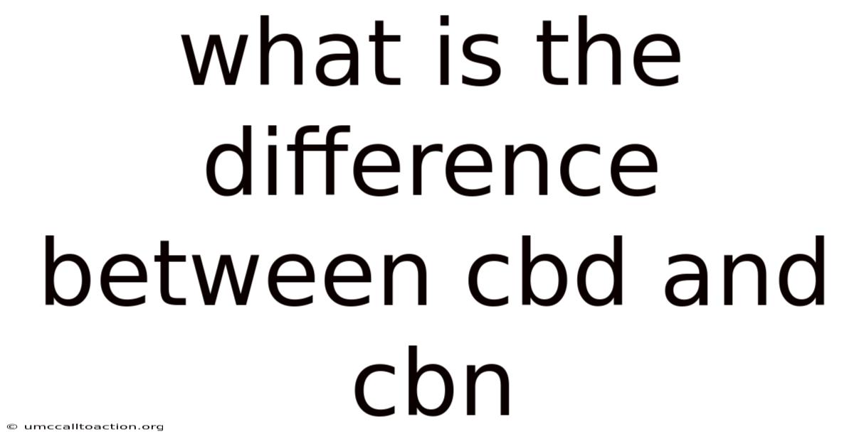 What Is The Difference Between Cbd And Cbn