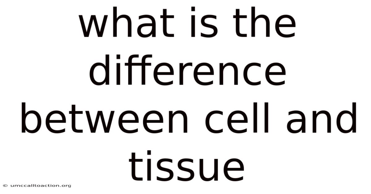 What Is The Difference Between Cell And Tissue