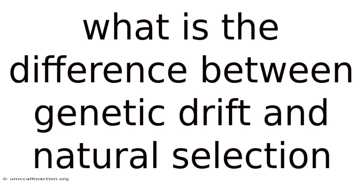 What Is The Difference Between Genetic Drift And Natural Selection