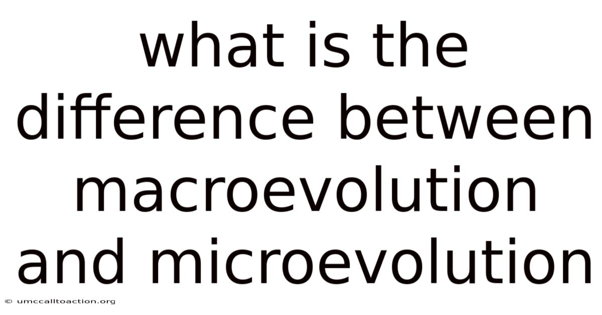 What Is The Difference Between Macroevolution And Microevolution