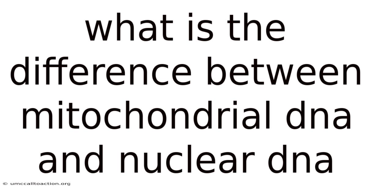 What Is The Difference Between Mitochondrial Dna And Nuclear Dna