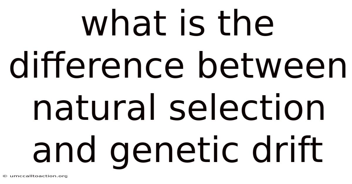 What Is The Difference Between Natural Selection And Genetic Drift