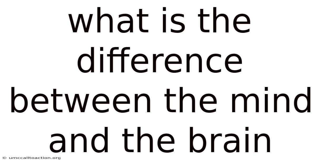 What Is The Difference Between The Mind And The Brain