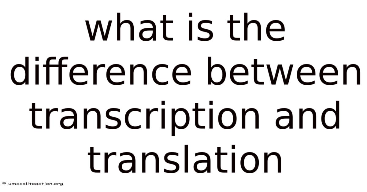 What Is The Difference Between Transcription And Translation