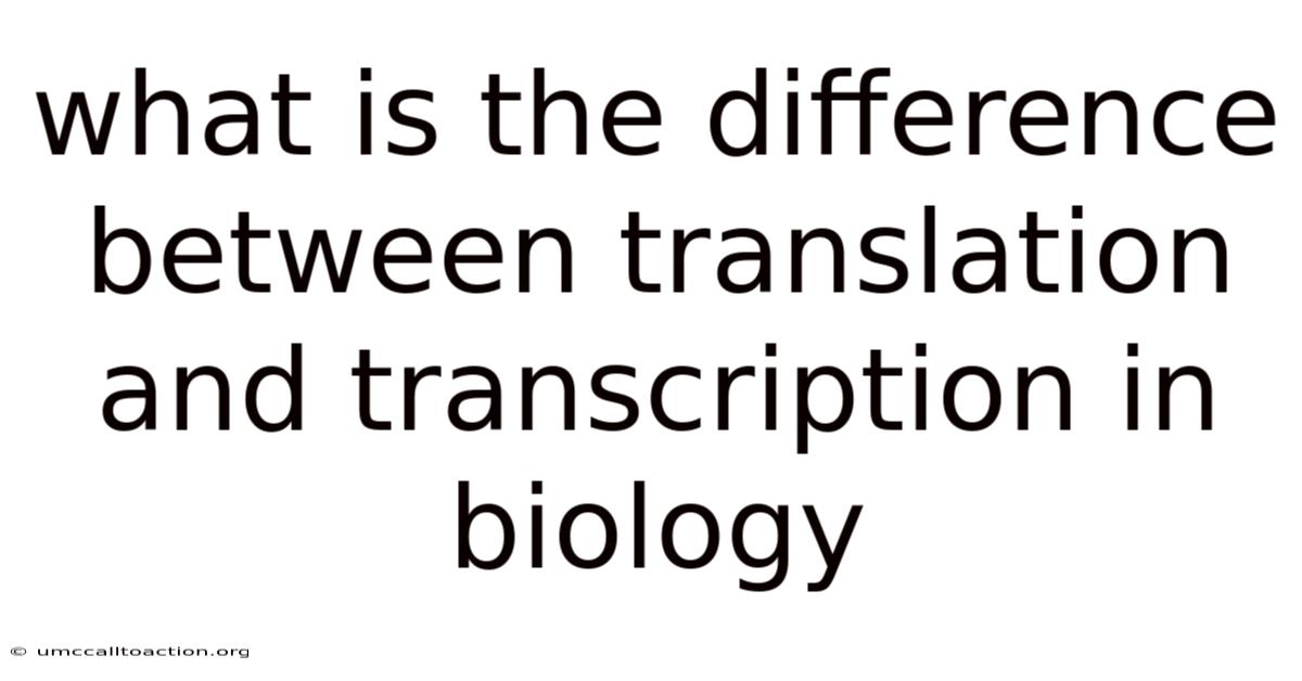 What Is The Difference Between Translation And Transcription In Biology