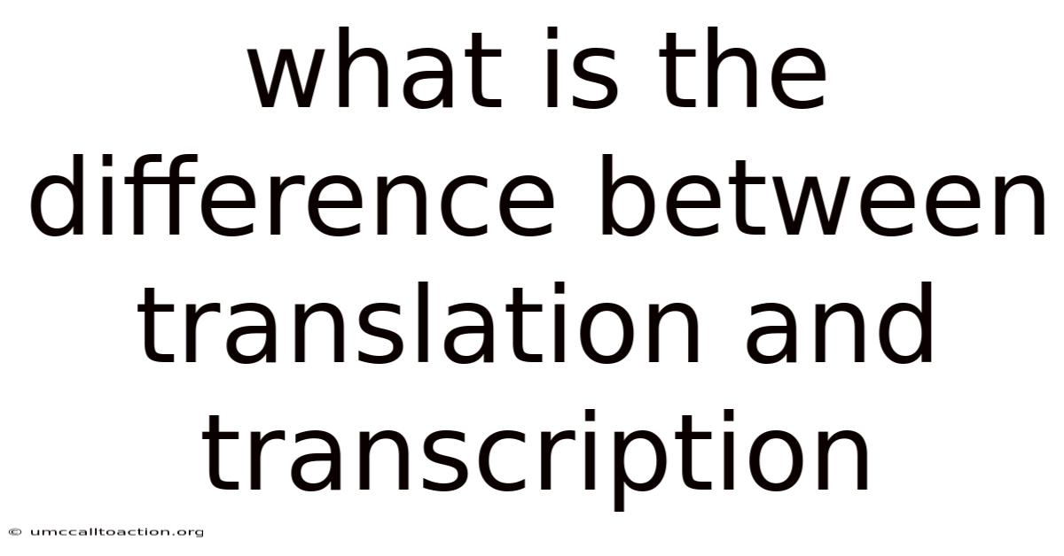 What Is The Difference Between Translation And Transcription