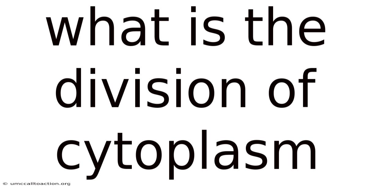 What Is The Division Of Cytoplasm