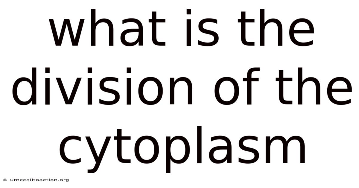 What Is The Division Of The Cytoplasm