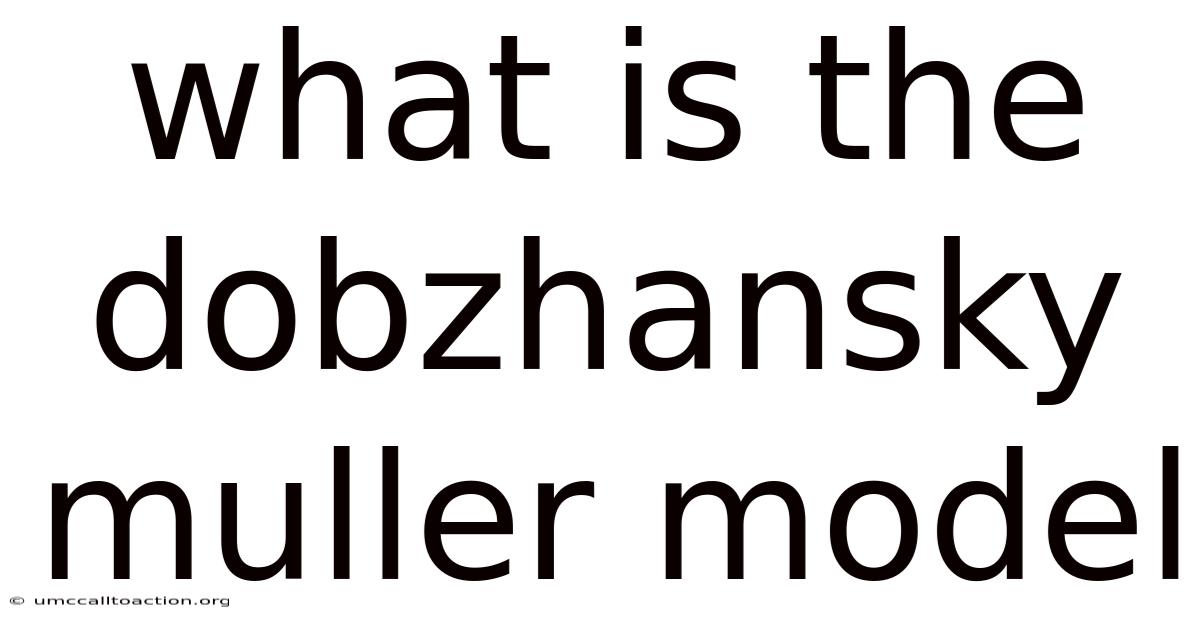 What Is The Dobzhansky Muller Model