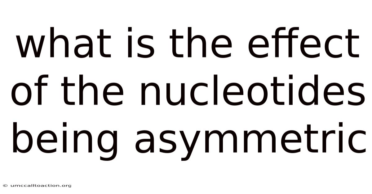 What Is The Effect Of The Nucleotides Being Asymmetric
