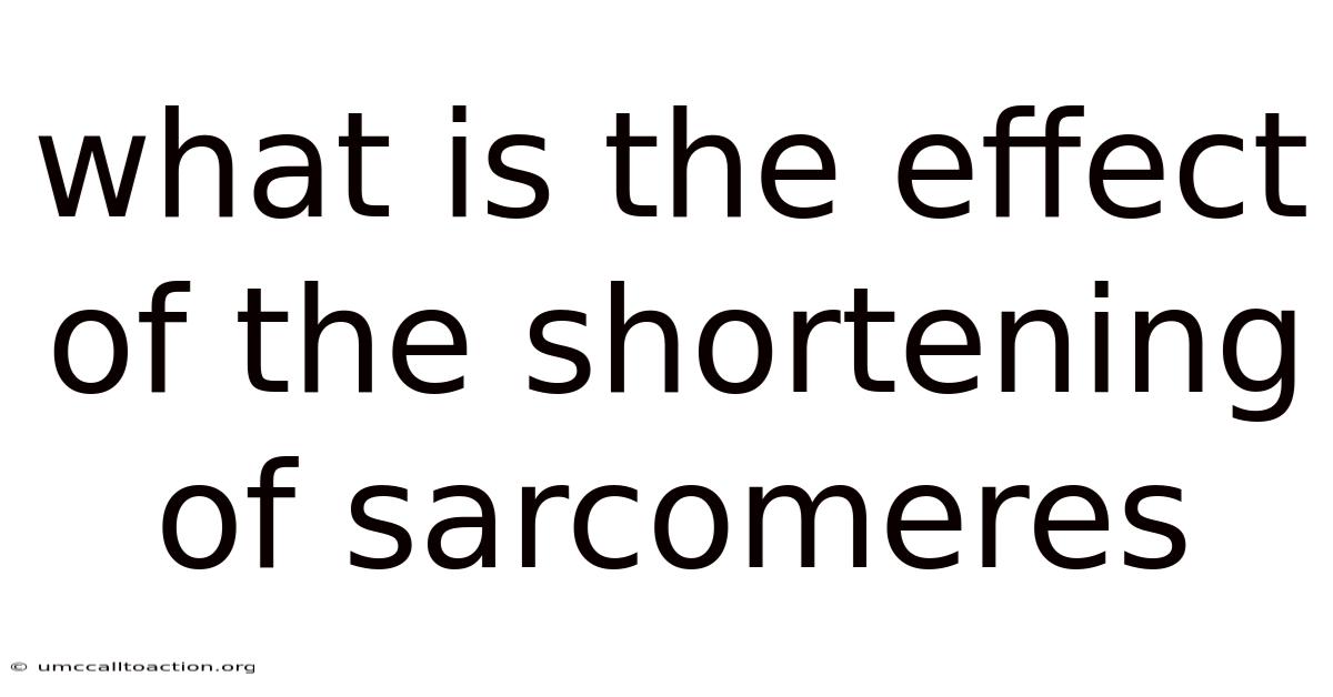 What Is The Effect Of The Shortening Of Sarcomeres
