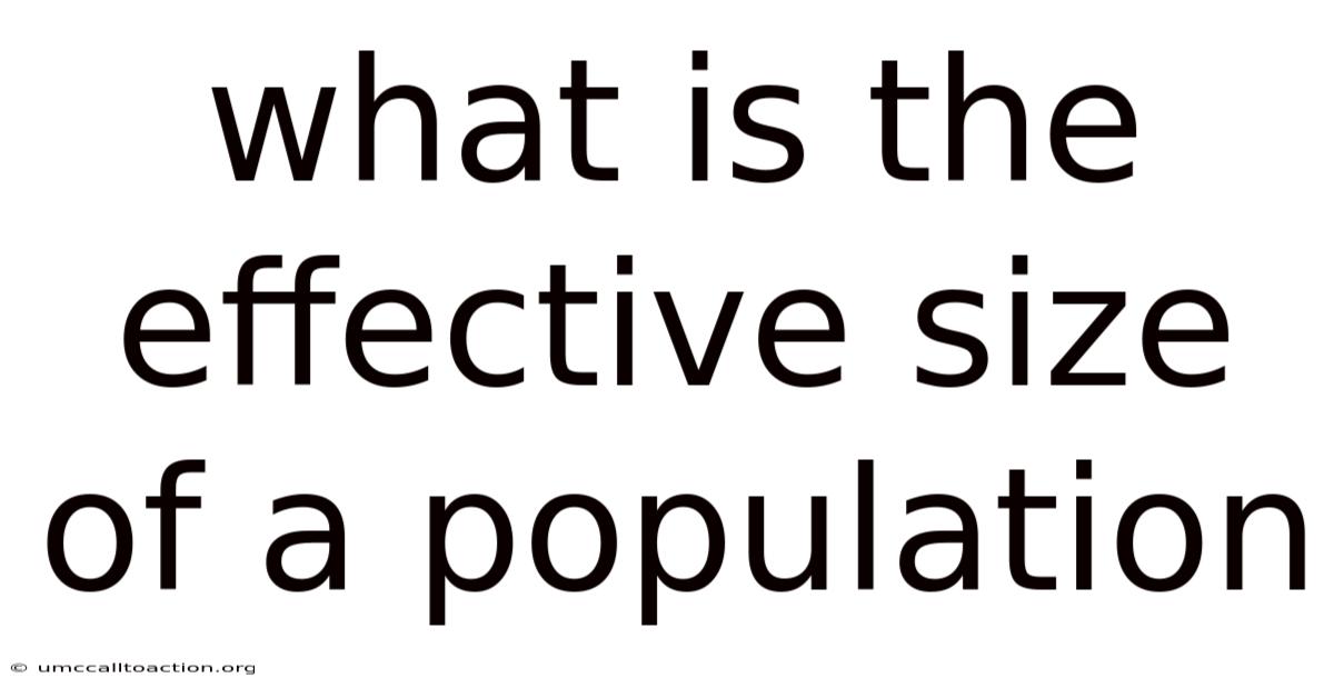 What Is The Effective Size Of A Population