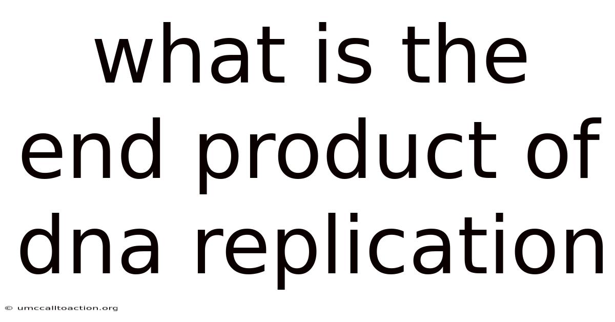 What Is The End Product Of Dna Replication