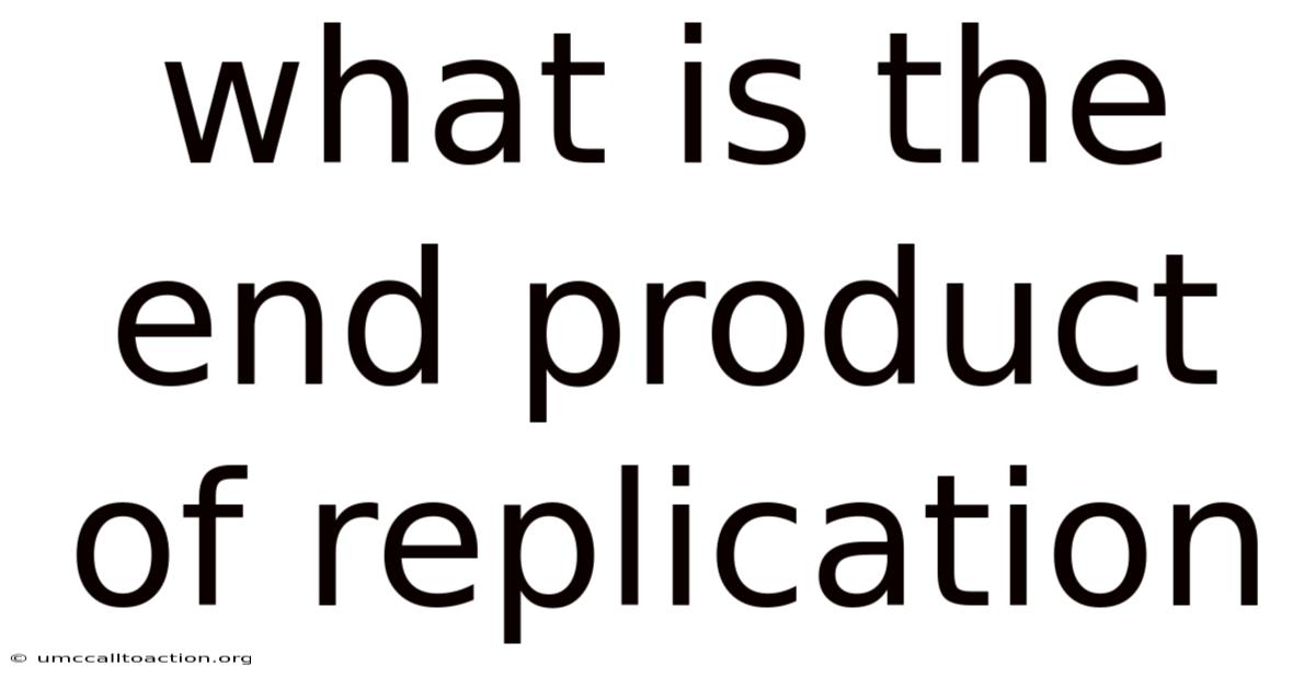 What Is The End Product Of Replication