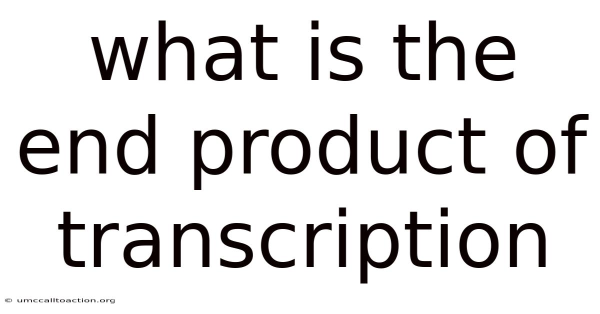 What Is The End Product Of Transcription