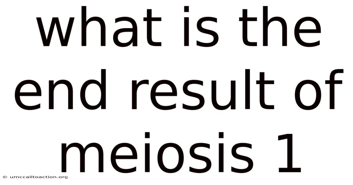 What Is The End Result Of Meiosis 1