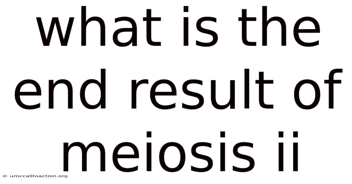 What Is The End Result Of Meiosis Ii