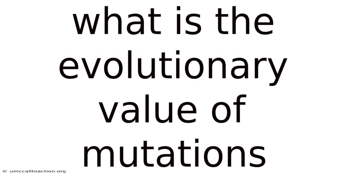 What Is The Evolutionary Value Of Mutations