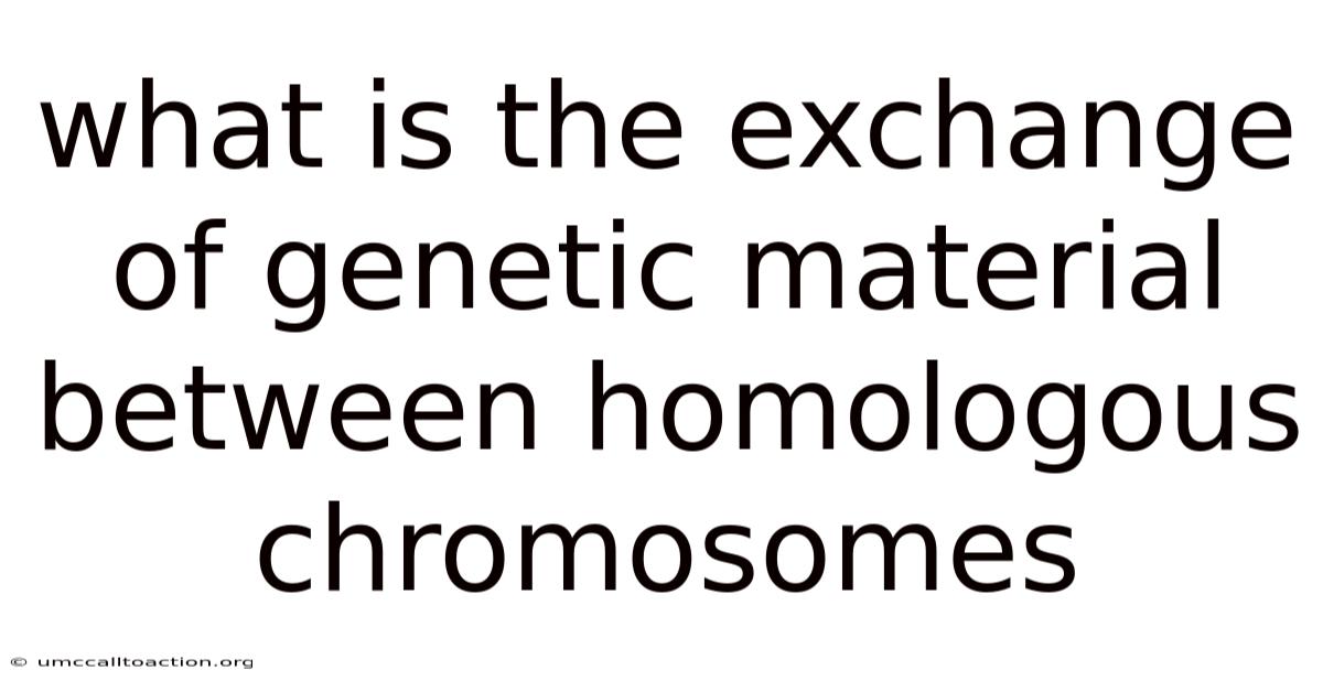 What Is The Exchange Of Genetic Material Between Homologous Chromosomes