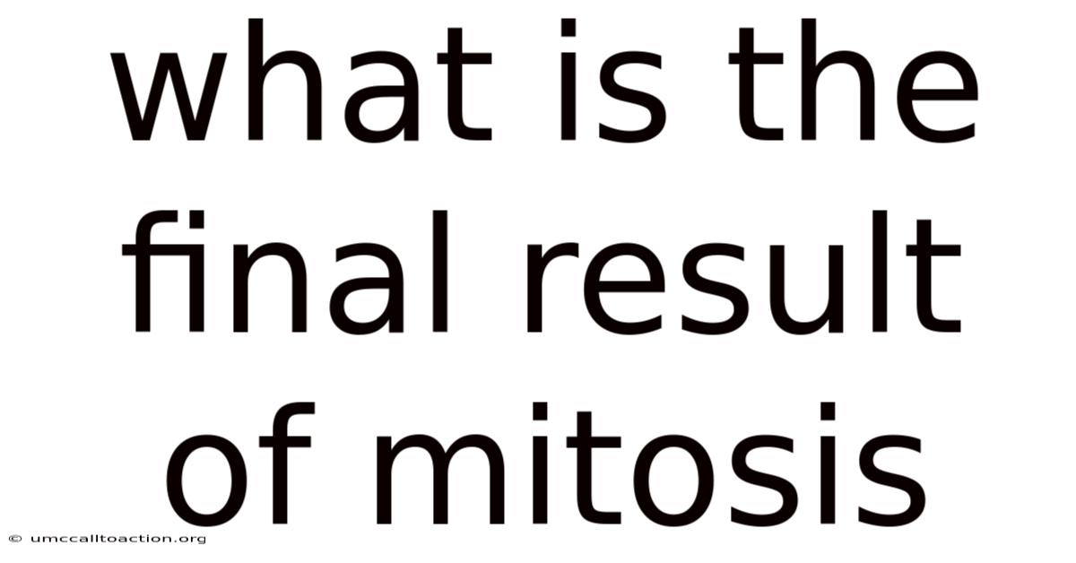 What Is The Final Result Of Mitosis