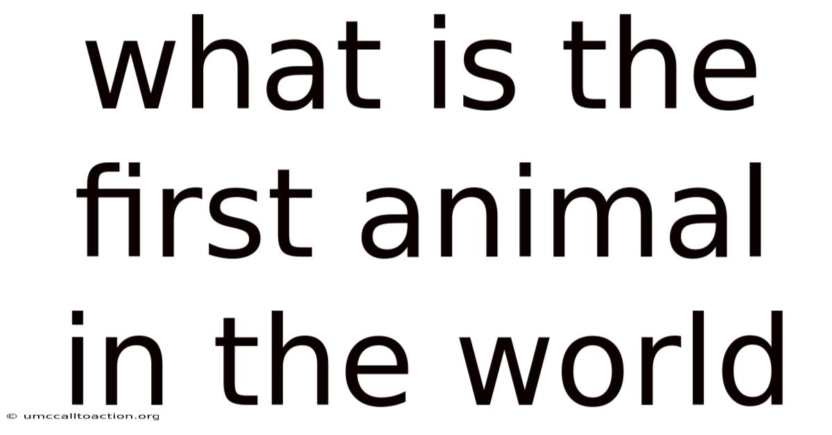 What Is The First Animal In The World