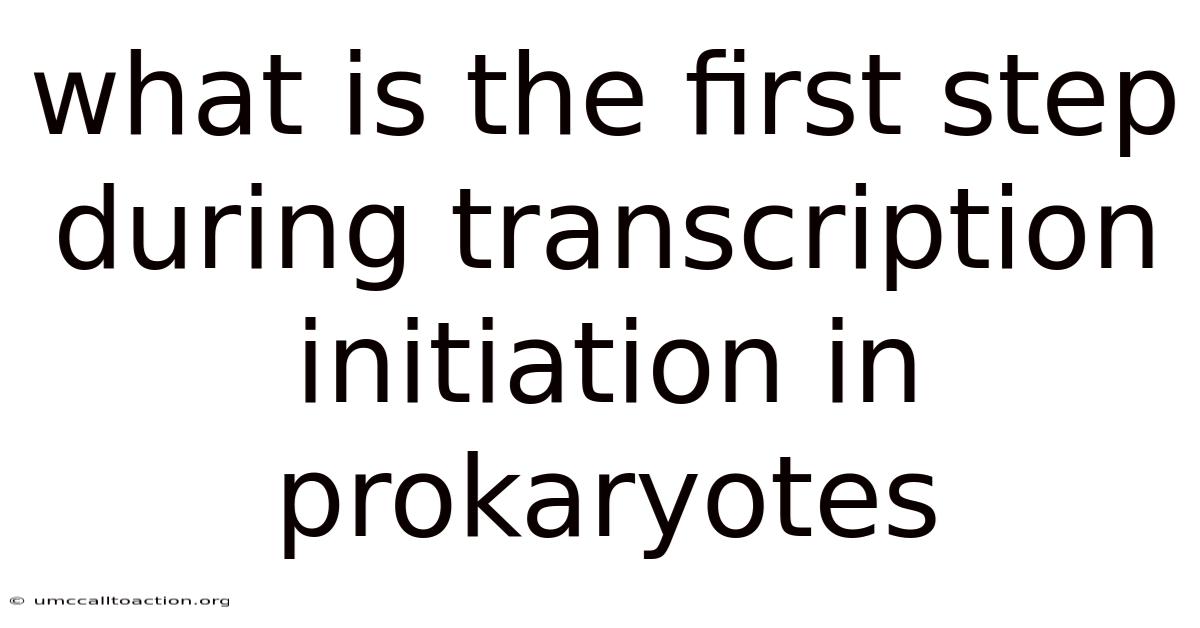 What Is The First Step During Transcription Initiation In Prokaryotes