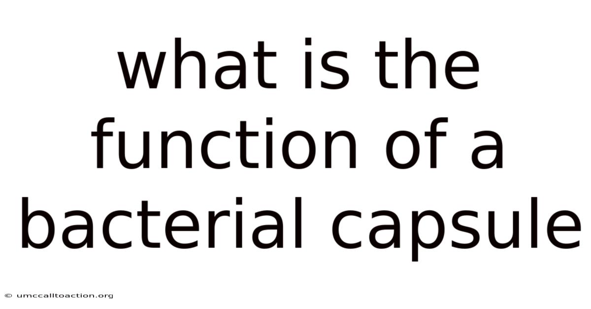 What Is The Function Of A Bacterial Capsule