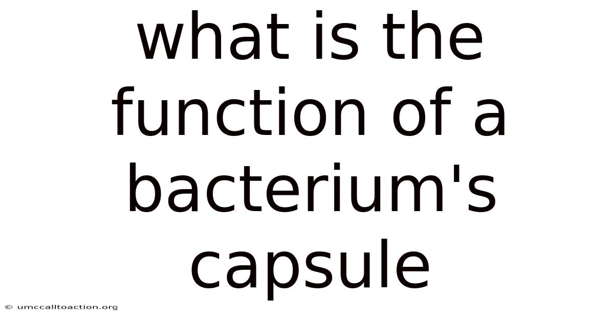 What Is The Function Of A Bacterium's Capsule