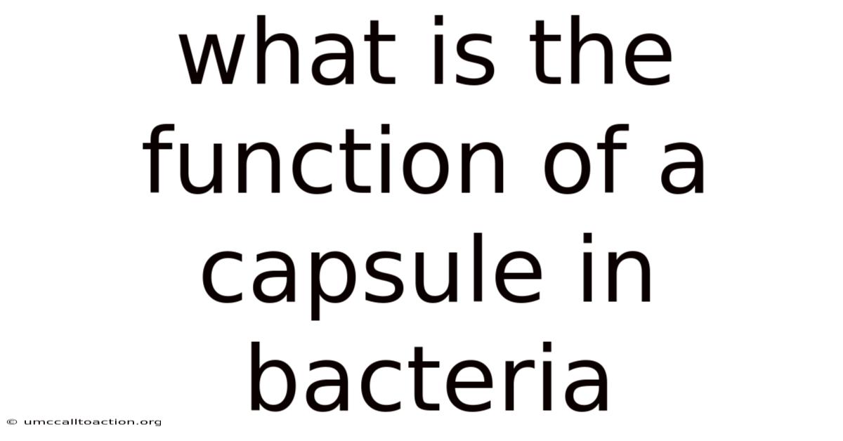 What Is The Function Of A Capsule In Bacteria