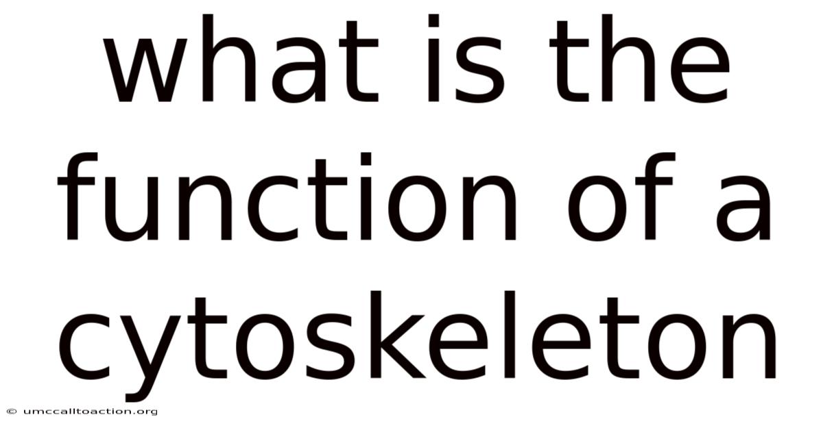 What Is The Function Of A Cytoskeleton