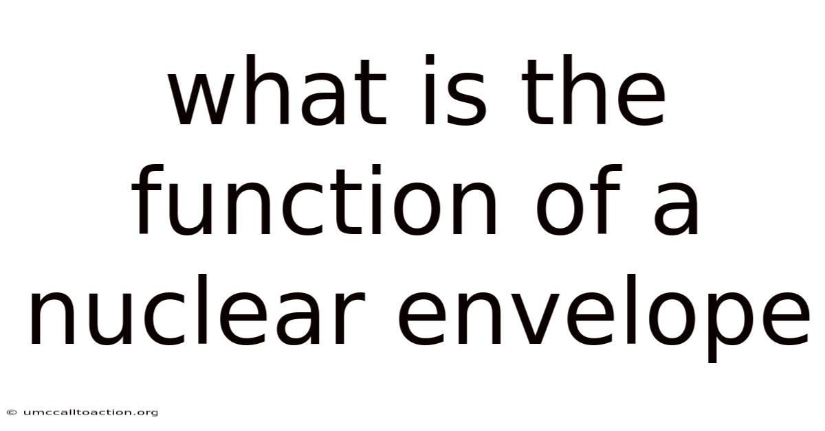 What Is The Function Of A Nuclear Envelope
