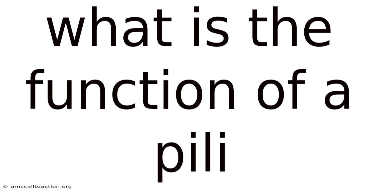 What Is The Function Of A Pili