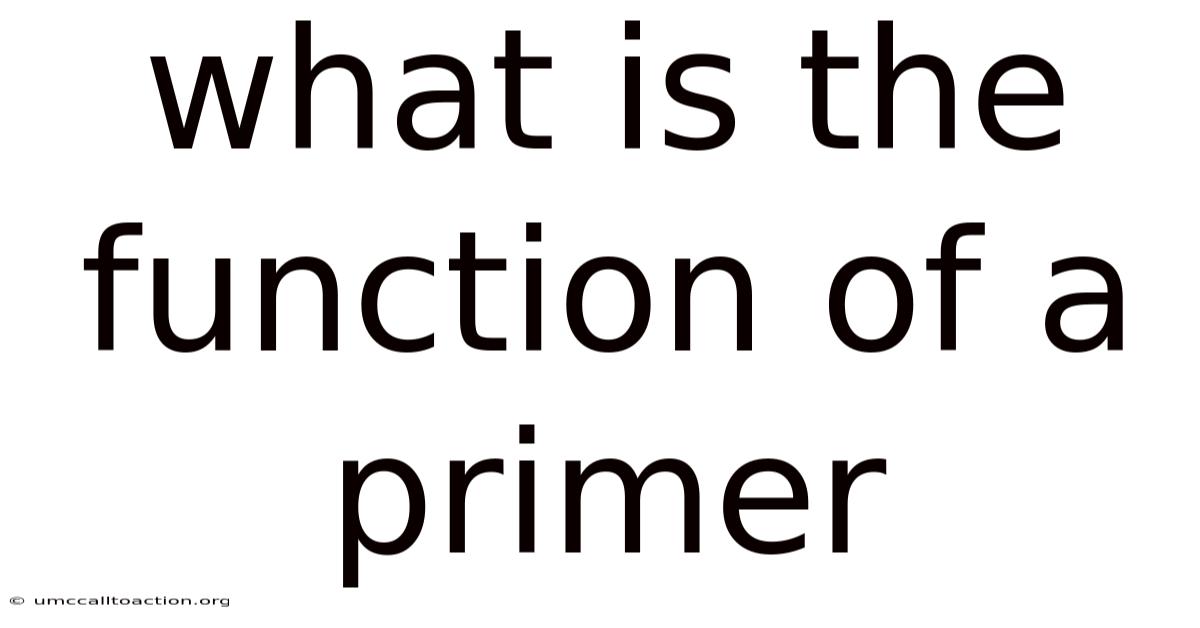 What Is The Function Of A Primer