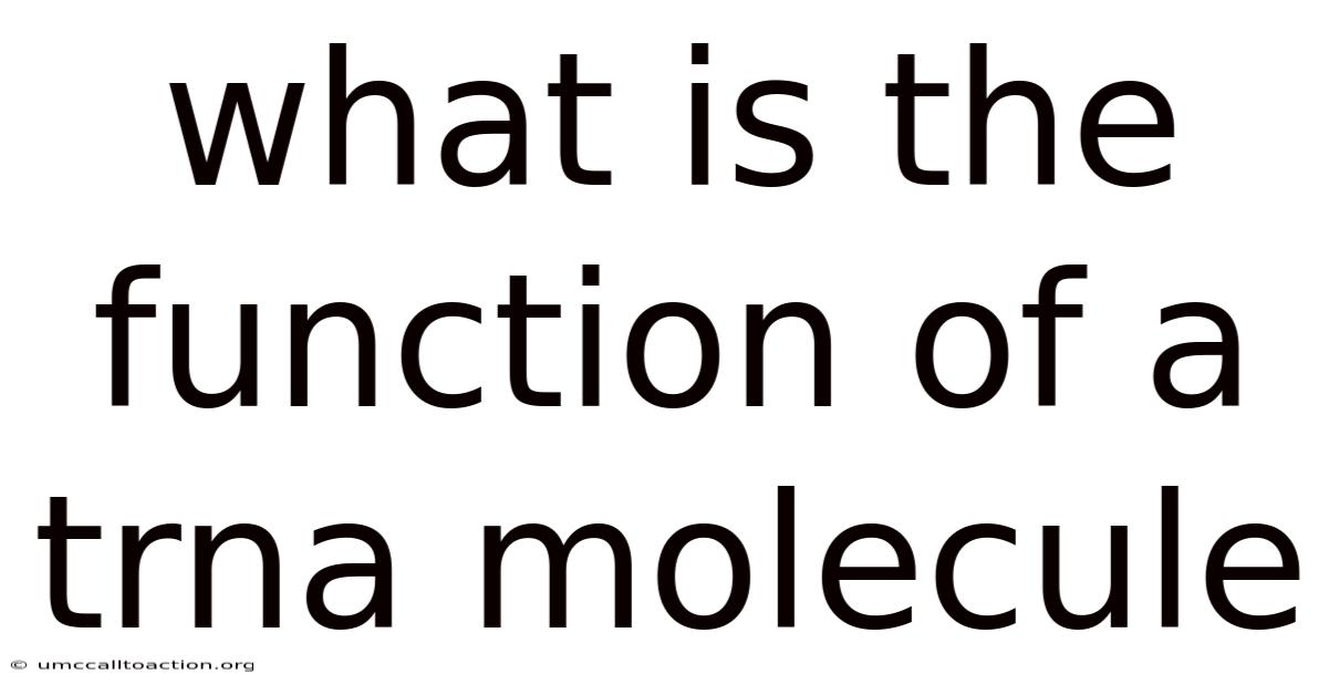 What Is The Function Of A Trna Molecule