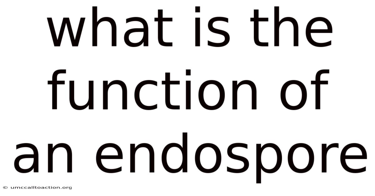What Is The Function Of An Endospore