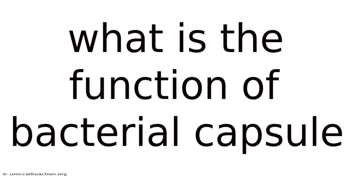 What Is The Function Of Bacterial Capsule