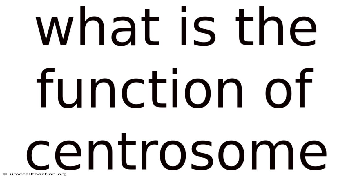What Is The Function Of Centrosome