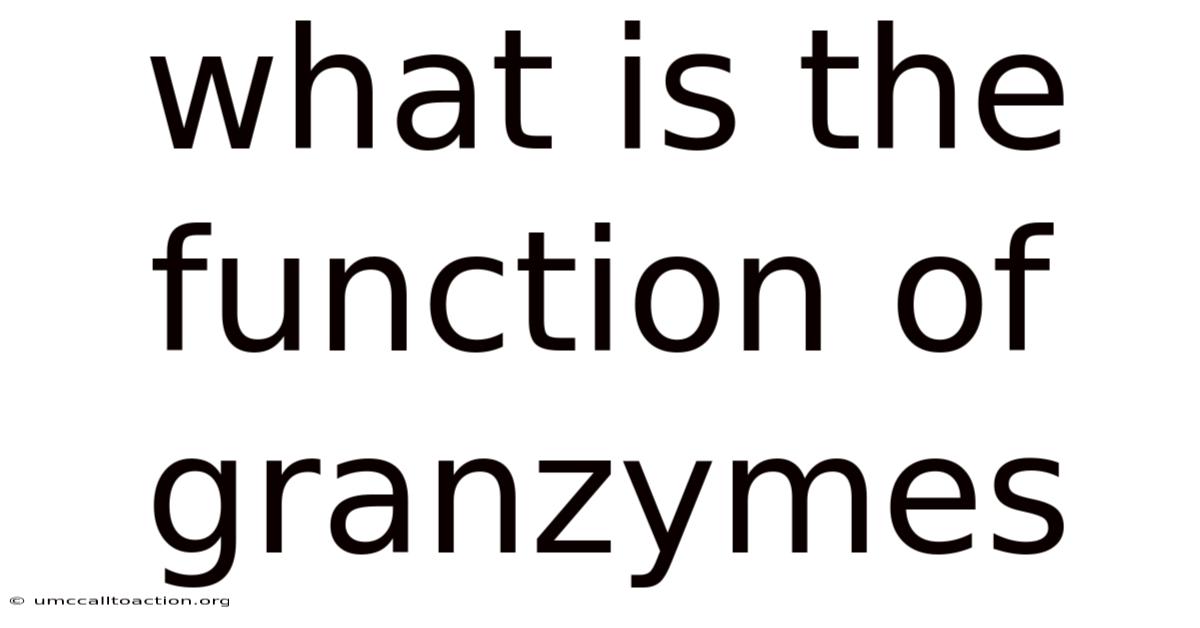 What Is The Function Of Granzymes