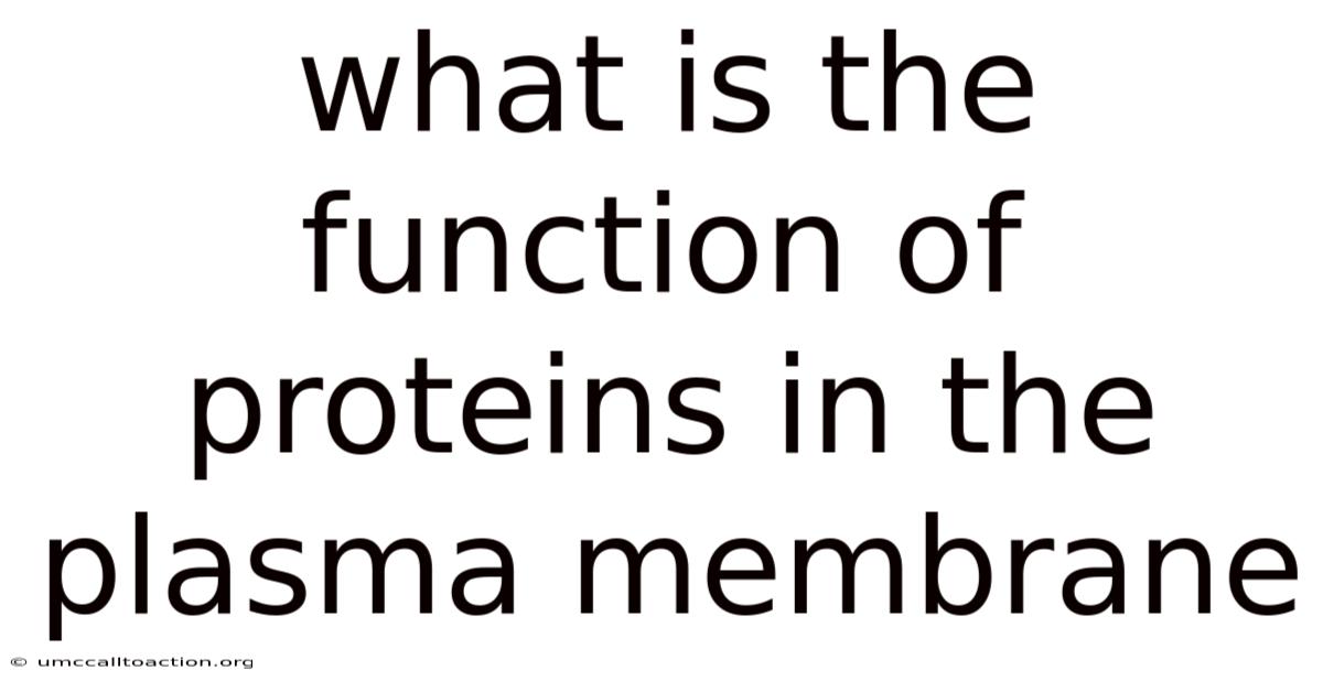 What Is The Function Of Proteins In The Plasma Membrane