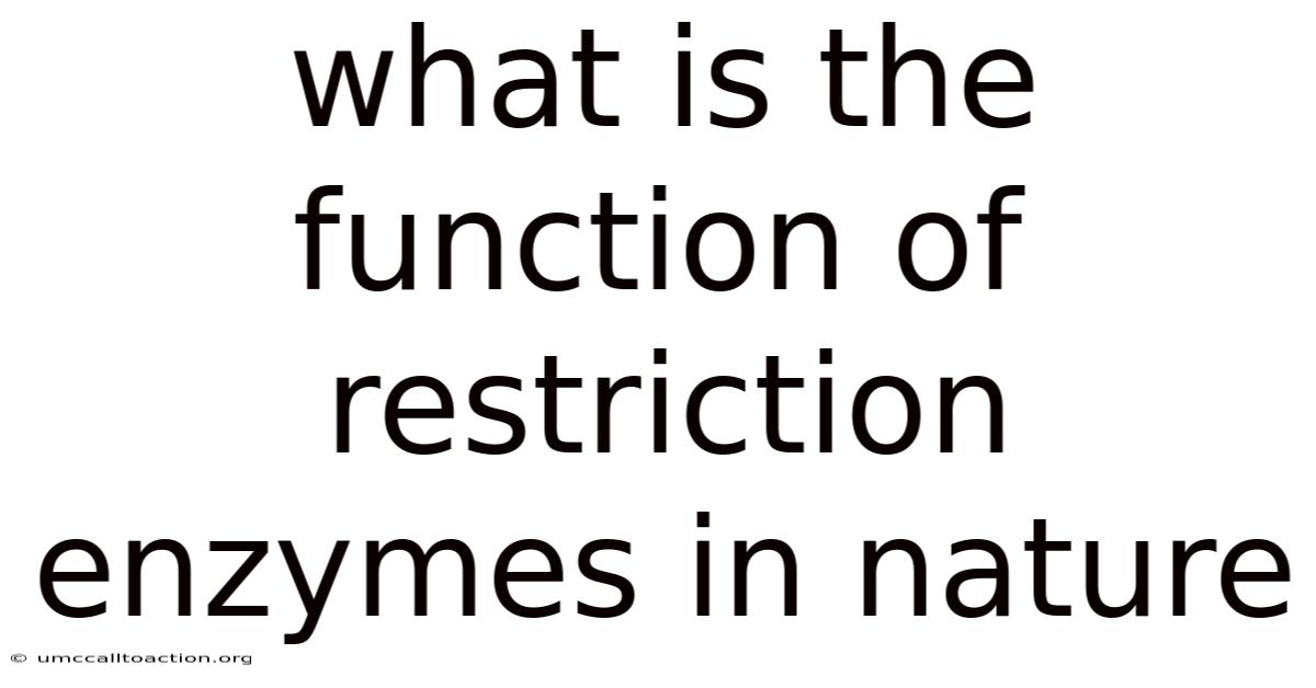 What Is The Function Of Restriction Enzymes In Nature
