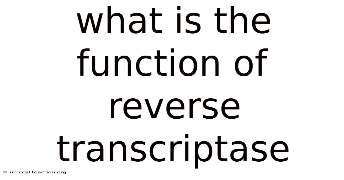 What Is The Function Of Reverse Transcriptase