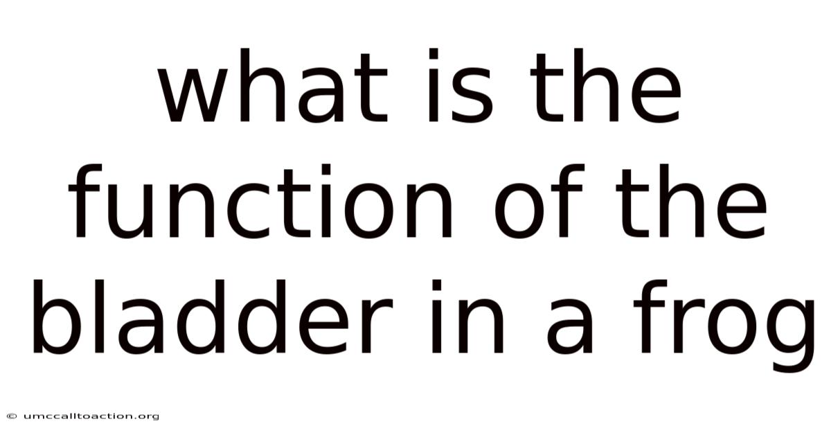What Is The Function Of The Bladder In A Frog