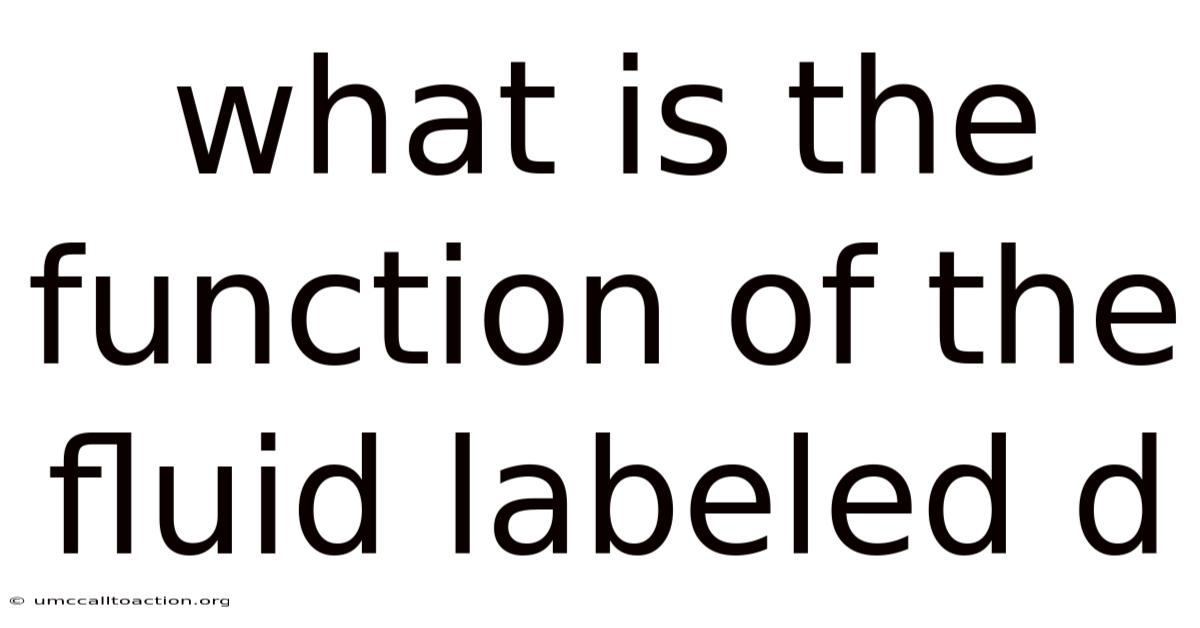 What Is The Function Of The Fluid Labeled D