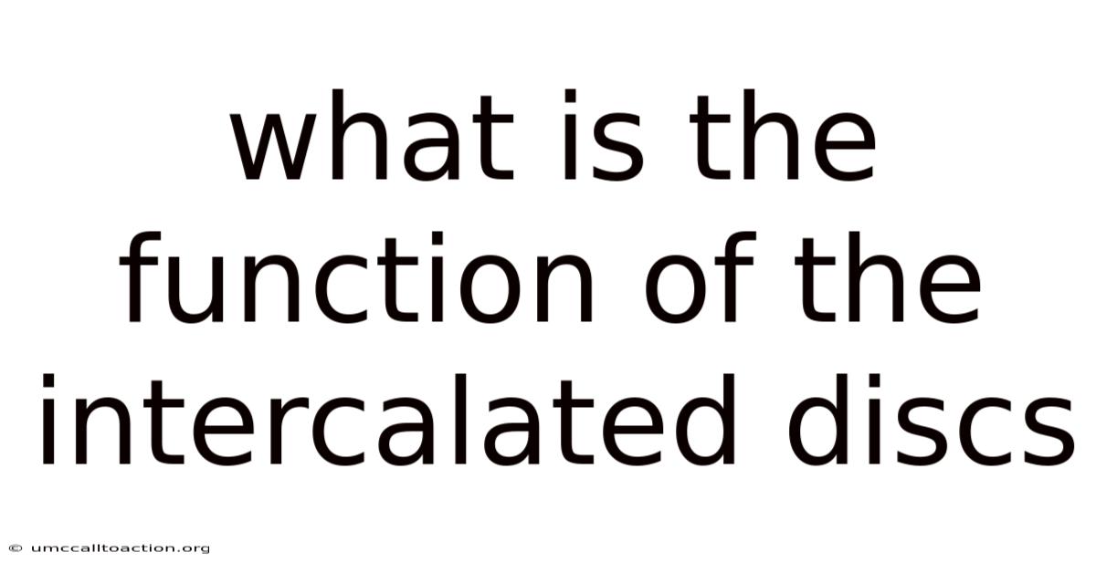What Is The Function Of The Intercalated Discs